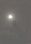Maui Full Moon