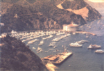 Catalina Island, CA